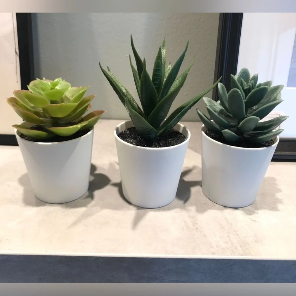 🪴3 PACK Succulent🪴 Artificial Potted Plant Succulent 3 Pack Home Decor C…